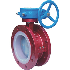 D341F46蝸輪式襯氟法蘭蝶閥.png D341F46蝸輪式襯氟法蘭蝶閥.png